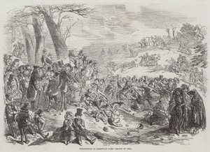 Whitsuntide in Greenwich Park by Hablot Knight Browne